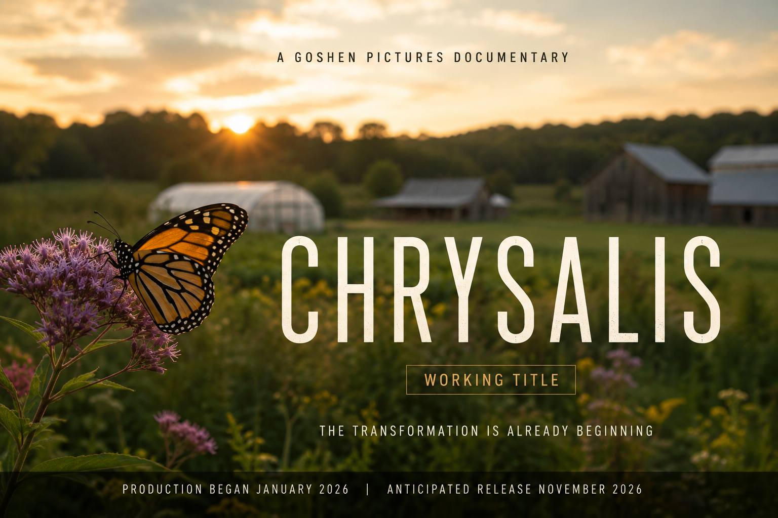 Chrysalis (Working Title) poster